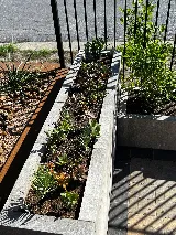 Afuera 360° Pools & Outdoor Rooms photo 6