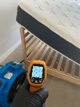 Eco Bed Bug Exterminators Baltimore photo 2