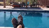 Atlantis Pool Service LLC
