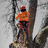 Ferrals Family Landscaping & Tree Services