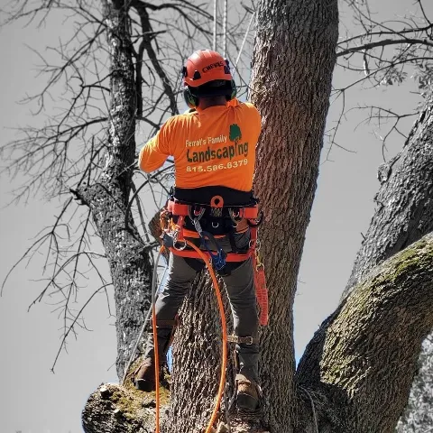 Ferrals Family Landscaping & Tree Services in Rockford
