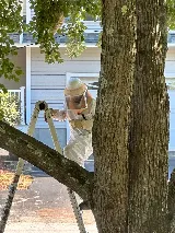 Fox Pest Control Manchester photo 6