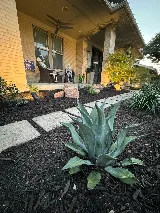 Texas Lawn Legends photo 4