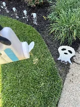 ClearDefense Pest Control photo 8