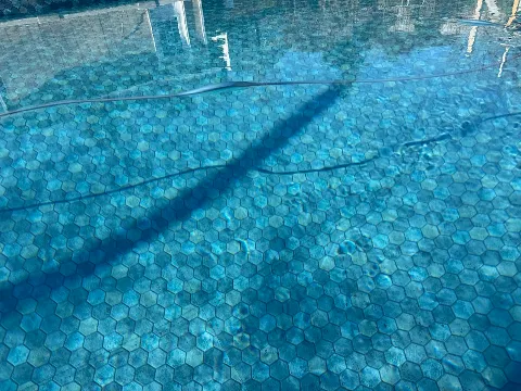 Tropical Pools Inc. photo 1