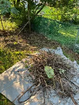 MR LAWN CARE & LANDSCAPING