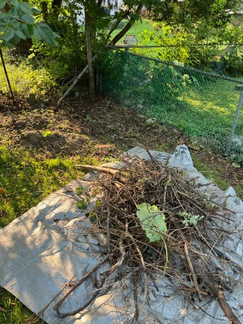 MR LAWN CARE & LANDSCAPING in Ann Arbor