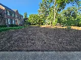 Lawn Firm photo 4
