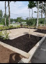 Springfield landscaping