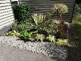 Redwoods Landscaping Inc photo 2