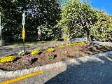 A CUT FROM ABOVE LANDSCAPING/HARDSCAPING photo 2