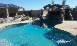 Tejas Pool Cleaning Services photo 4