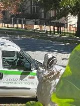 Sage Pest Control photo 5