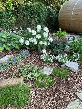Bond Landscape & Design - London photo 6