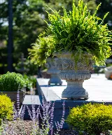 Flora Landscapes photo 6