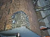 Kia pestcontrol&wildlife removal photo 5