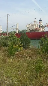 Pioneer Heavy Haul photo 3