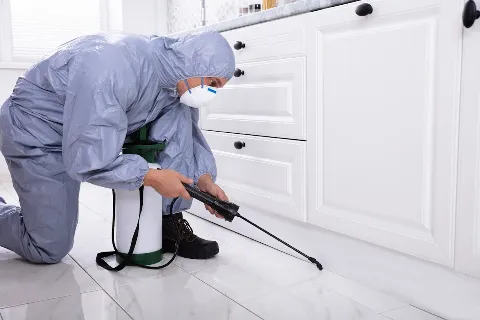 FEXT Pest Control Lachine Montreal in Montreal