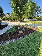 Southern Accents Landscaping photo 3