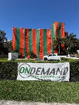 On Demand Pest Control photo 5