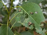 Berrett Pest Control photo 10