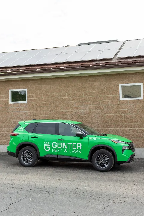Gunter Pest & Lawn in Kansas City