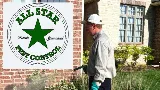 All Star Pest Control