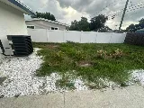 Tampa landscape solutions photo 5