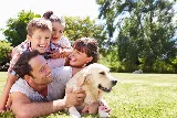 Yosemite Pest & Rodent Solutions, Inc. photo 5