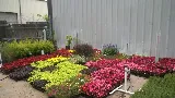 York Landscaping & Irrigation photo 4