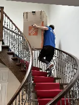 Urban Movers photo 8