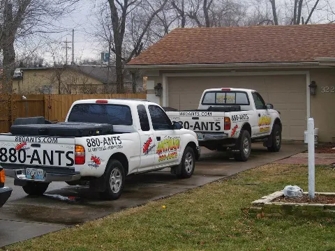 Antman Pest Control photo 1