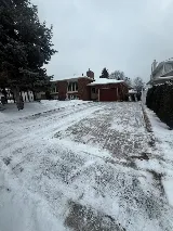 Your Yard Guy photo 2
