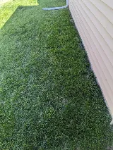Bug-X Professional Pest Control and Lawn Care Solutions photo 5