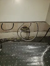AG Pest Services photo 8