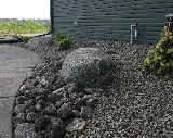 Next 2 Nature Landscape Company photo 2