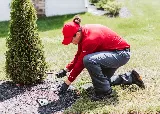 Frontline Pest and Termite of Baltimore photo 6