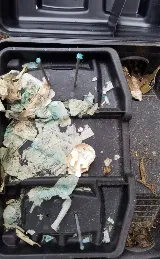 Easy Way Pest Control photo 8