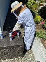 RainCity Pest Control photo 8