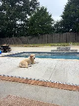 Premier Pools & Spas