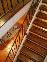 Castle Flooring, LLC photo 6