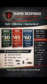 Rapid Response Pest Solutions photo 8