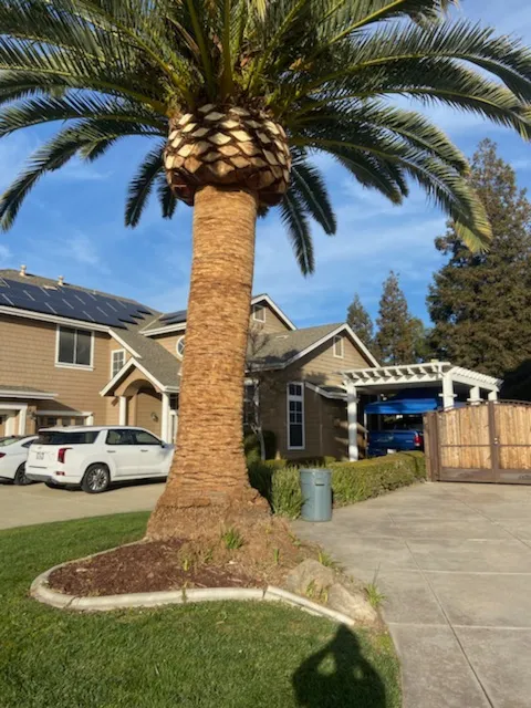 John's Good Landscaping Services in Oakland