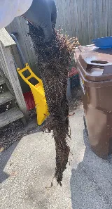 EDWARDS SEWER & DRAIN photo 2