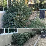 Legacy Lawn Care & Landscaping photo 4