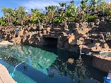 STAR BRIGHT POOL AND SPA CARE, INC photo 4