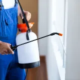 Anytime Pest Elimination San Antonio photo 7