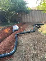 T&S Landscaping photo 7