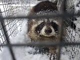 AAA Pest Protection Service photo 2