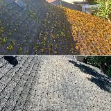 Coastal Roof Cleaning Experts photo 2